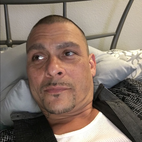 Meet your Posher, Milo - Picture 1 of 1